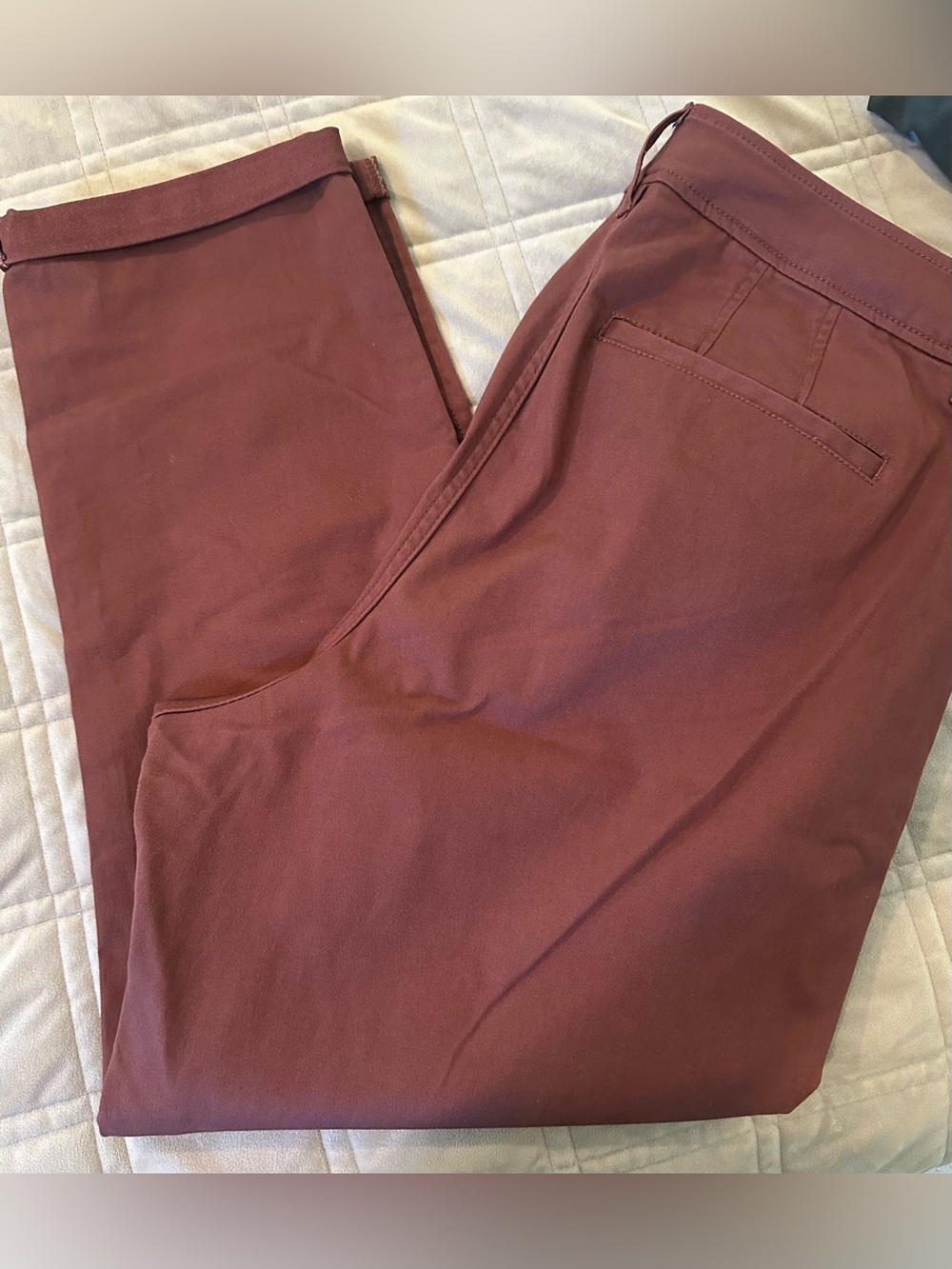 41 Hawthorn 18W women’s Chinos pants in Burgundy